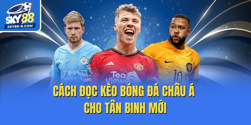 Cách đọc kèo bóng đá châu Á cho tân binh mới