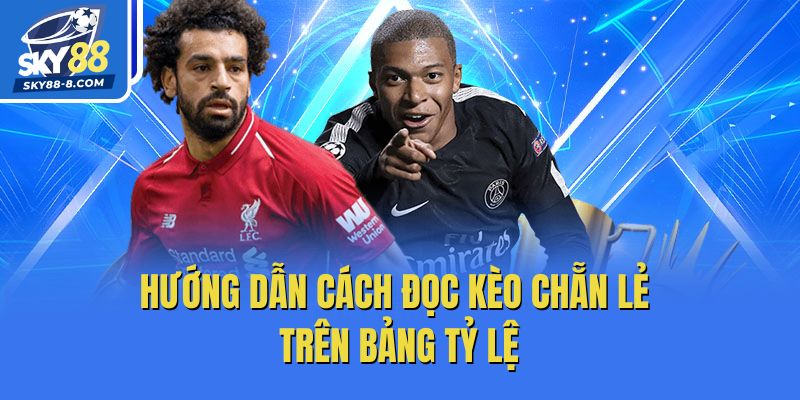 Hướng dẫn cách đọc kèo chẵn lẻ trên bảng tỷ lệ