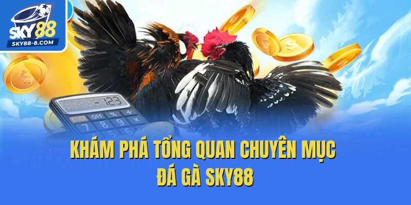 Khám phá tổng quan chuyên mục đá gà Sky88