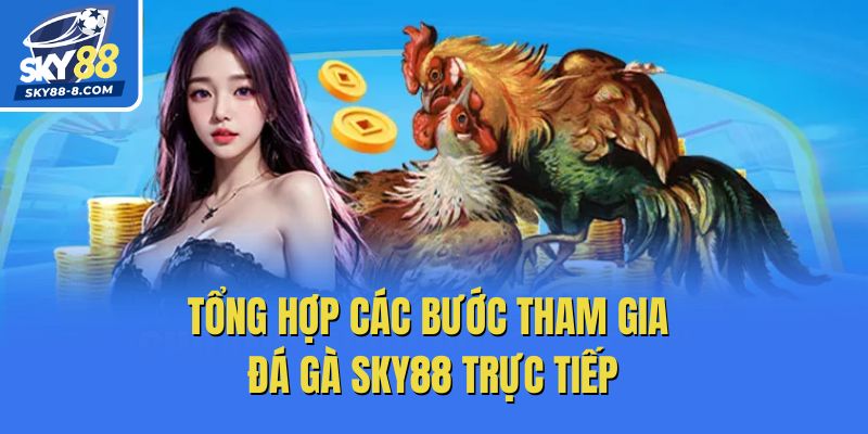 Tổng hợp các bước tham gia đá gà Sky88 trực tiếp