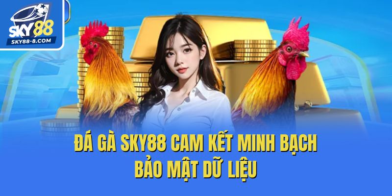 Đá gà Sky88 cam kết minh bạch, bảo mật dữ liệu